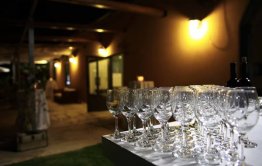 וילה נגרין חדש 4