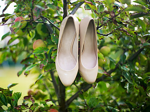 חתונה במטע פקנים