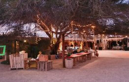 חתונה במדבר קבלת פנים