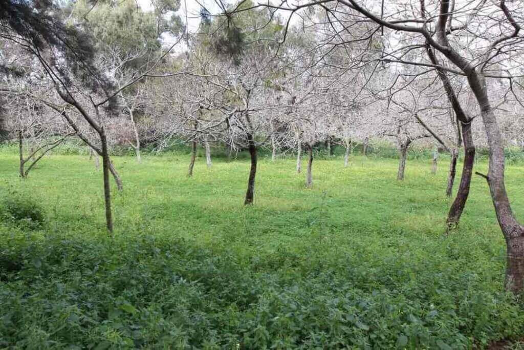 חתונה בקיבוץ איפה אתם תתחתנו