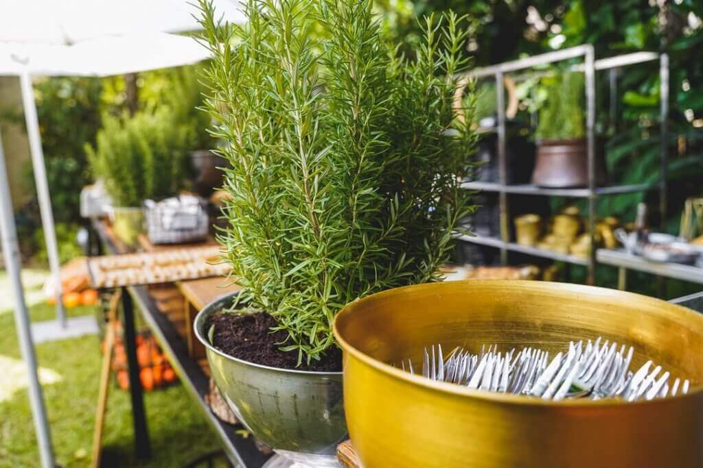 חתונה בקיבוץ מראה טבעי