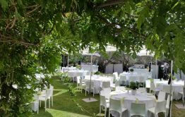 חתונה בקיבוץ שולחנות