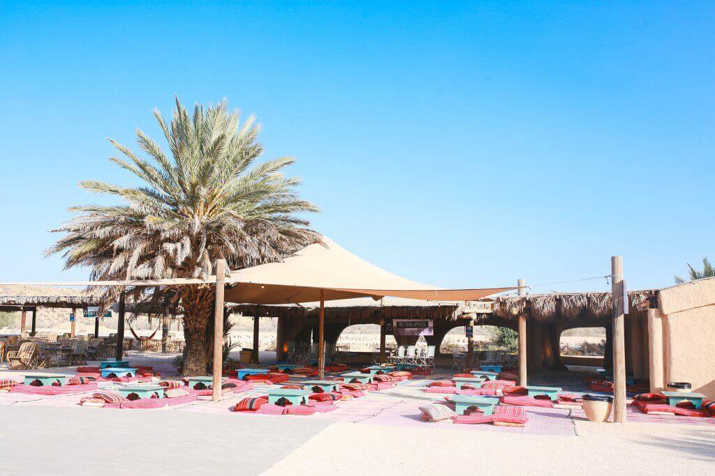 262090228_4832869393399948_7073166514962921045_n