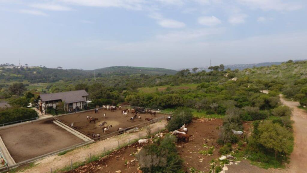 חוות שבעת המופלאים