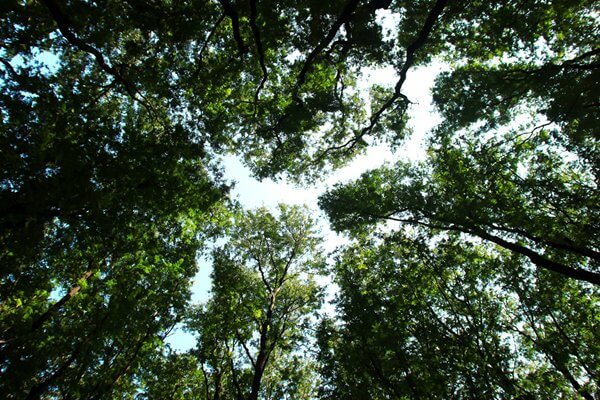 צילום אירועים מכל הסוגים