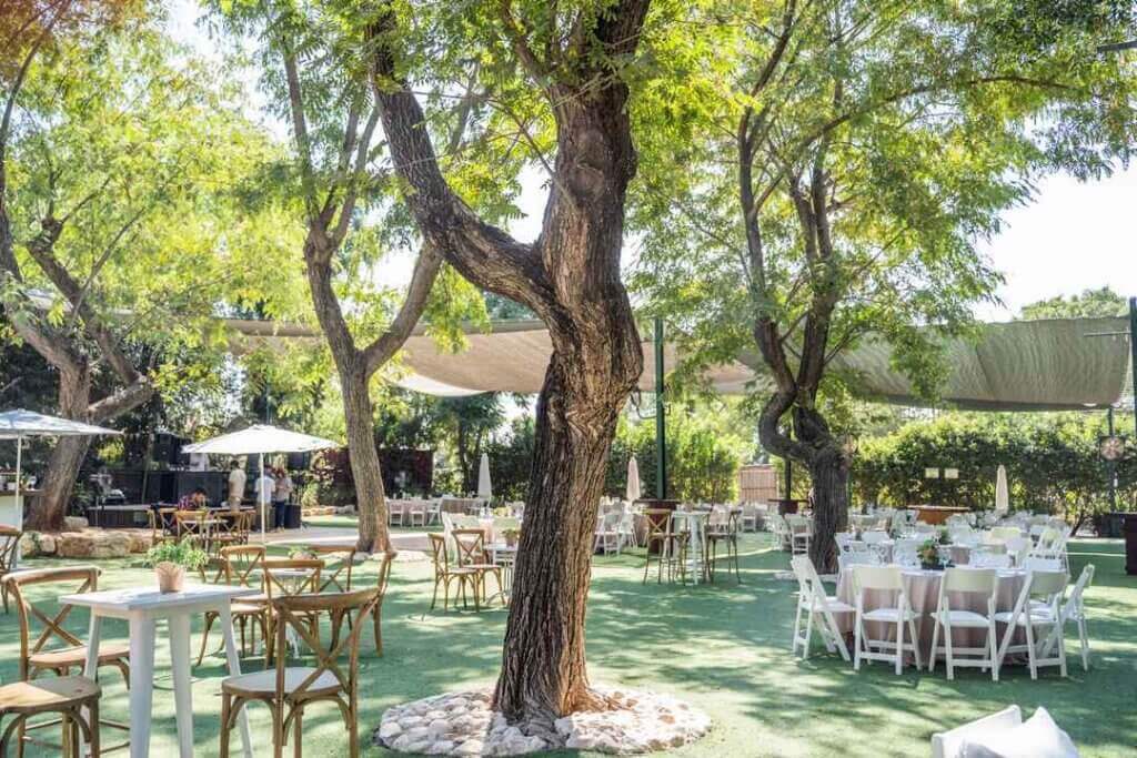 חתונה בספארי מבט לגן הפתוח