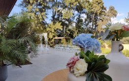 ארגון והפקת חתונה