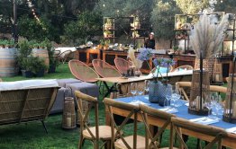 גינה בשרון של הבית