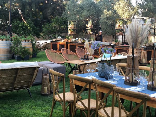 גינה בשרון של הבית