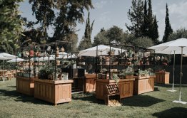 הבית בשרון מזנוני אוכל