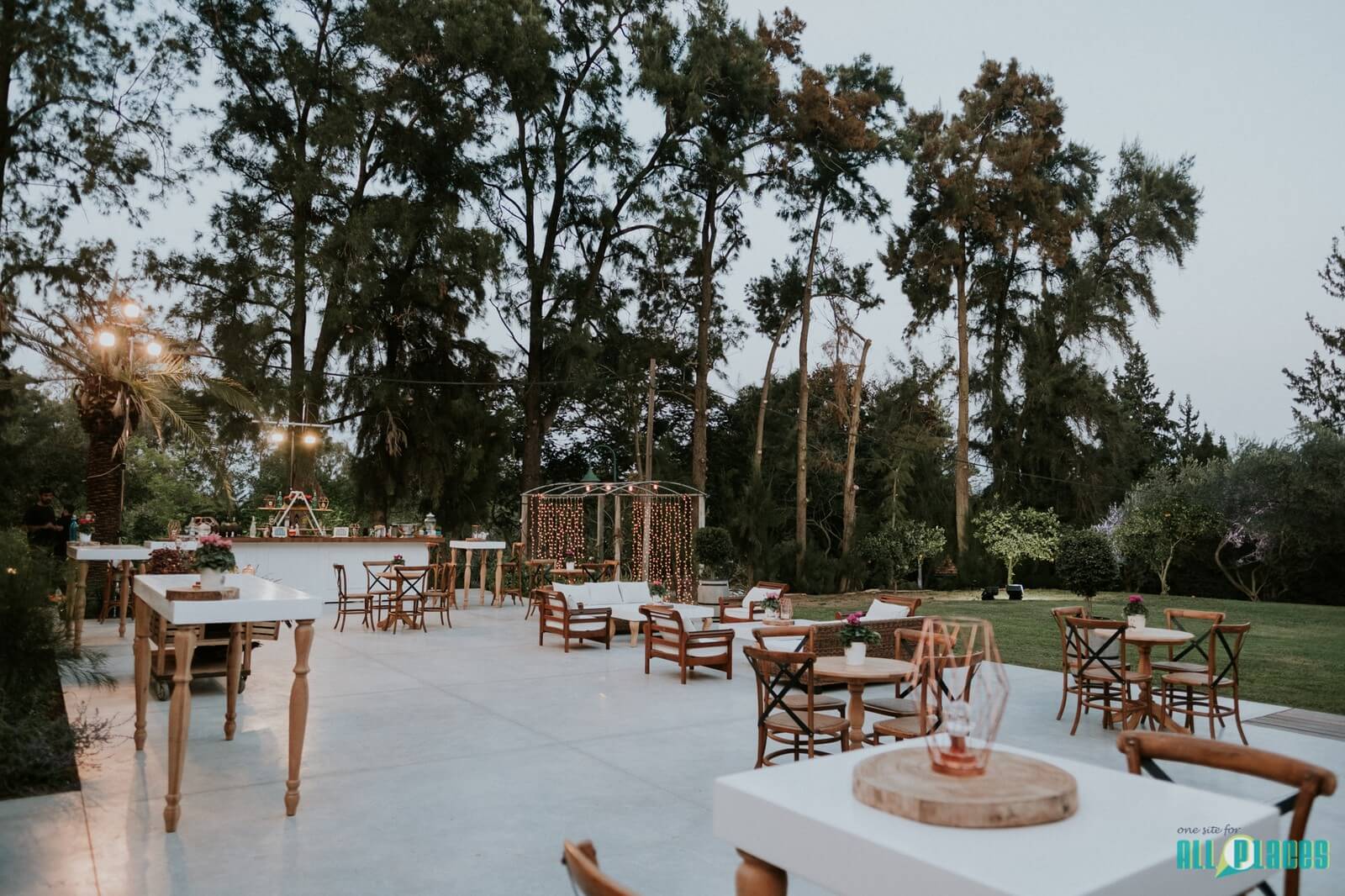 הבית בשרון (7)