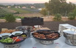 חגיגת בת מצווה בטבע בחווה