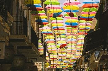 טיולי בר מצווה