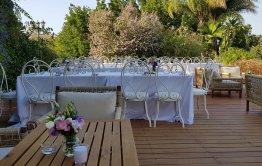 כרם יין הושבה באירוע חתונה