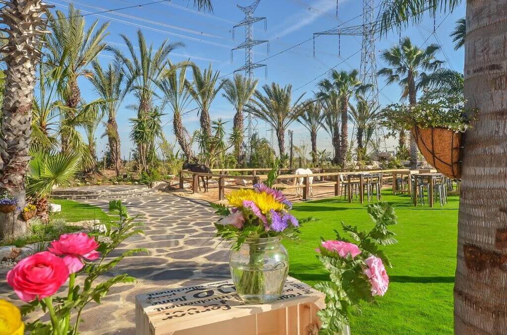 מיקום_חופה_,_תמונה_פסטורלית