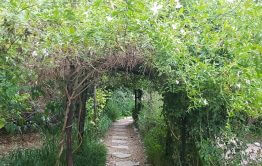 מקום להצעת נישואין מקורית