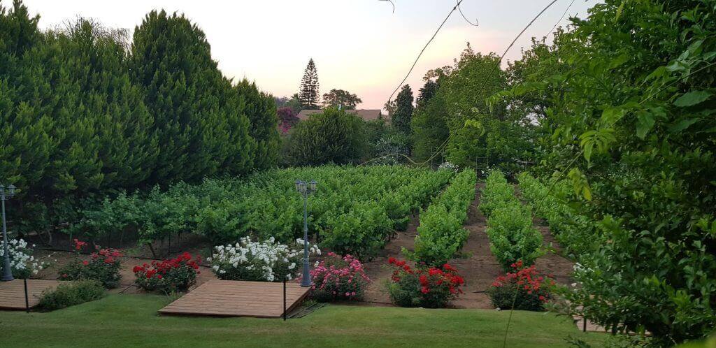 מקום להצעת נישואין