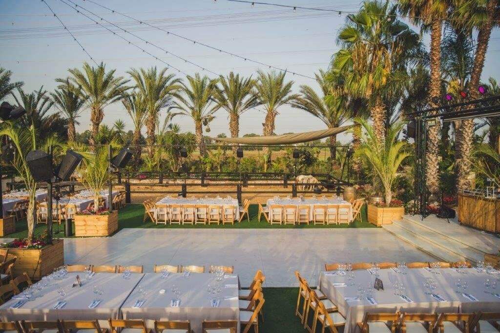 סקיצה_צהריים