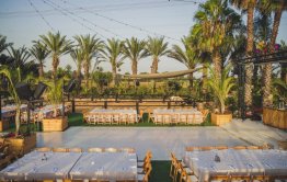 סקיצה_צהריים