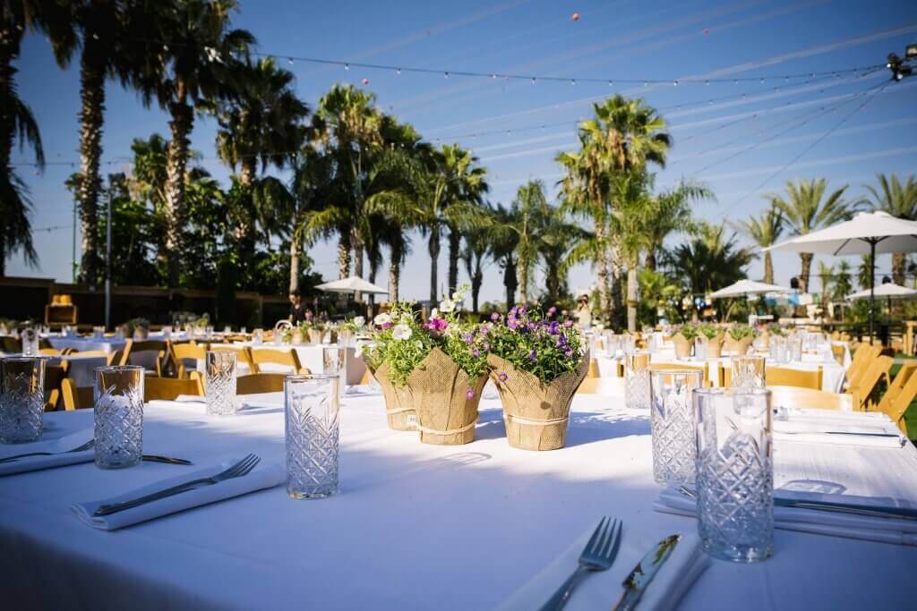 Photo By https://www.shanicario.co.il/ | 0549080777