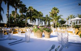 Photo By https://www.shanicario.co.il/ | 0549080777