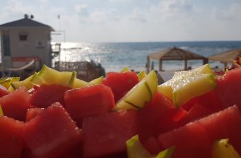 יום כיף לקבוצות קטנות וגדולות