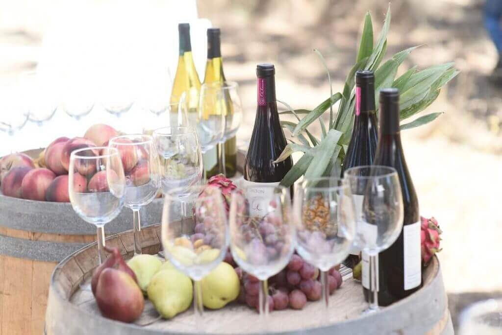 שתייה לימי גיבוש לחברות