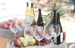 שתייה לימי גיבוש לחברות