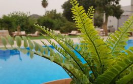 יום הולדת 50 לאשה