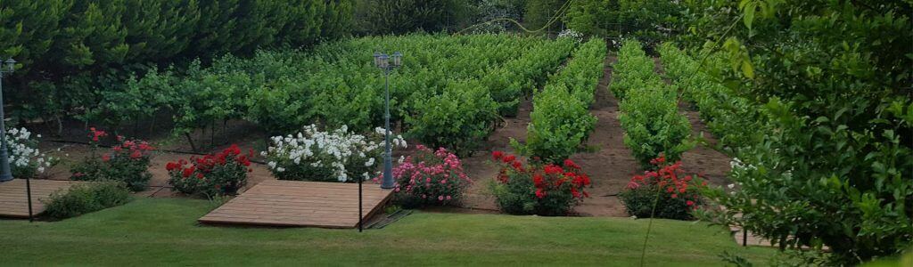 מקומות-מיוחדים