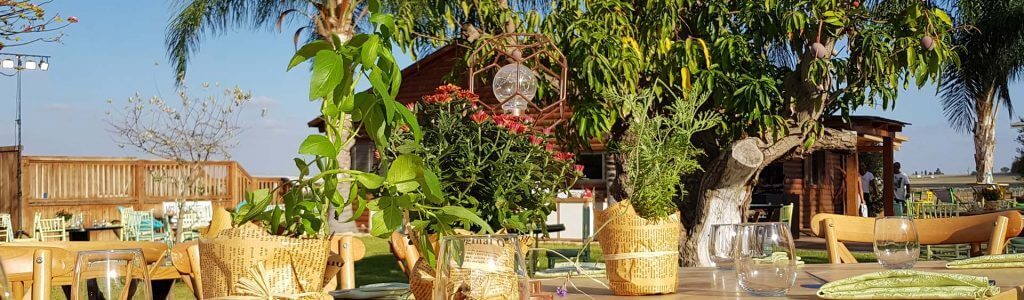 הפקת אירועי חתונה בטבע