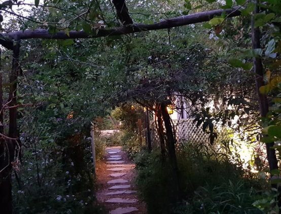 במספר מילים על האירוע: