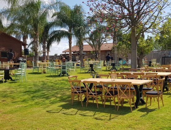 סוג העיצוב: