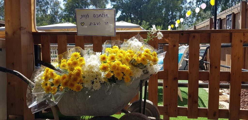 החתונה של הגר וגל