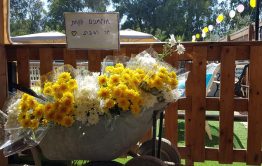 החתונה של הגר וגל