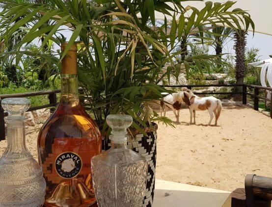 משהו שעשה את ההבדל: 