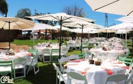 החתונה של עמית ואוהד