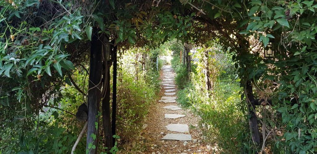 מיקום אירוע: