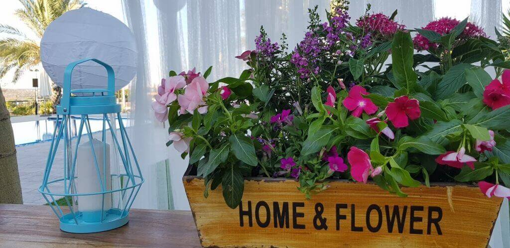 כמות אורחים: