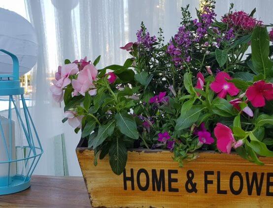 כמות אורחים: