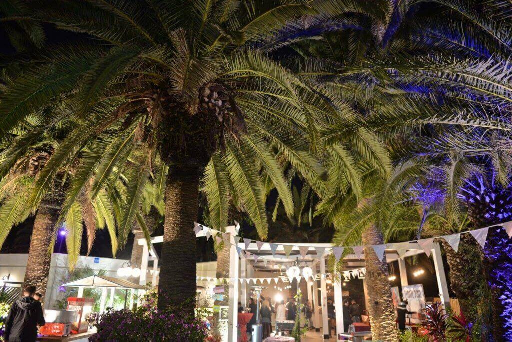 כמות אורחים: