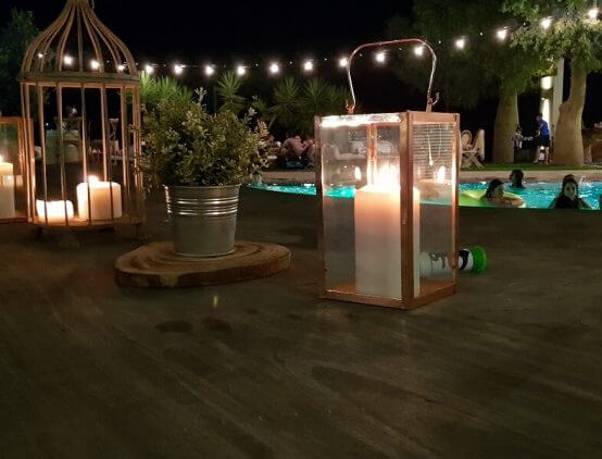 סוג העיצוב: 