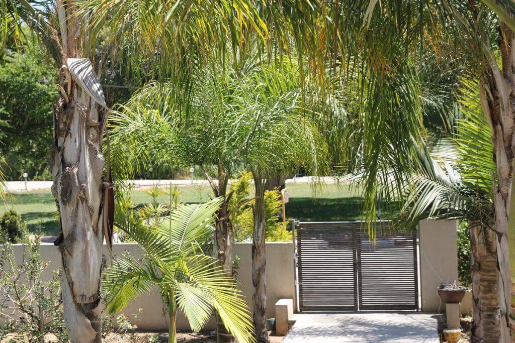 סוג העיצוב: 