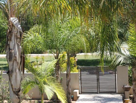 סוג העיצוב: 