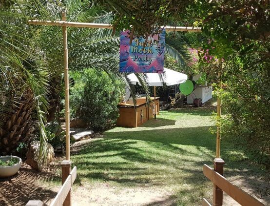 סוג העיצוב: