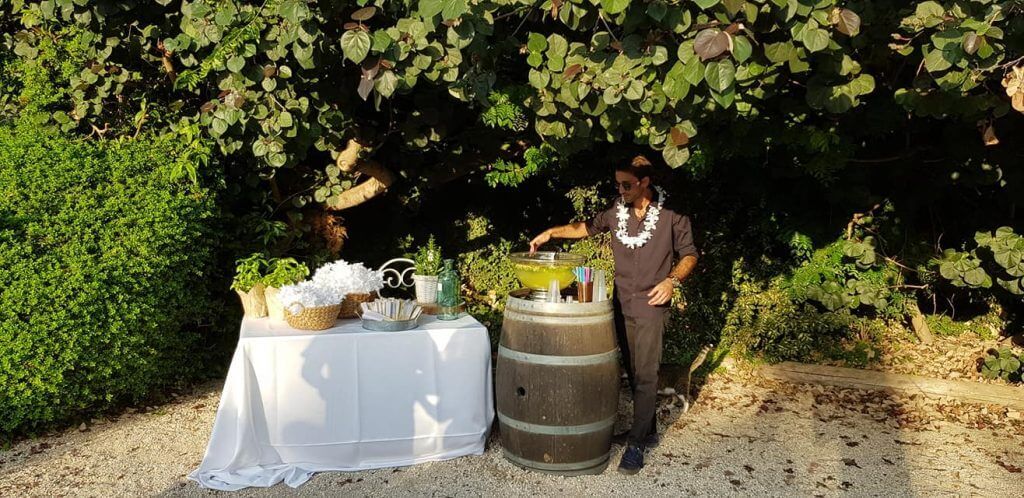 סוג העיצוב: