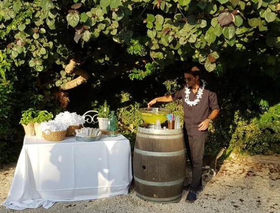 סוג העיצוב: