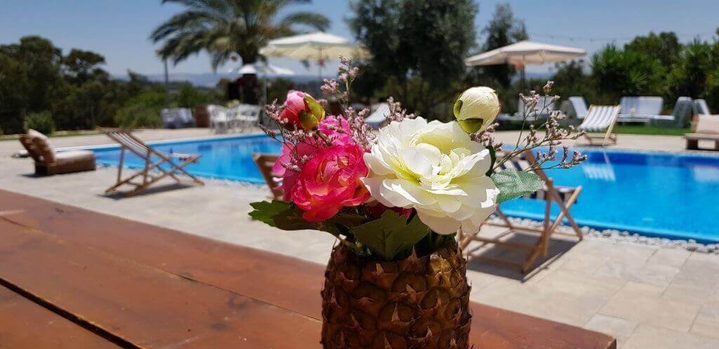 החתונה של טל ואלעד