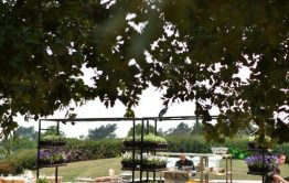 דוכן מזון בגן אירועים