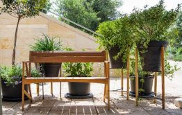 חלל חיצוני בגן אירועים